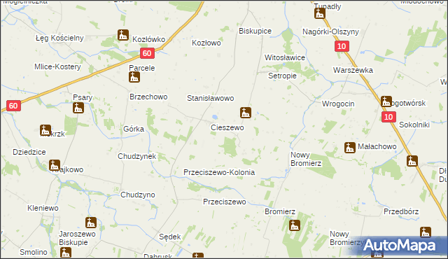 mapa Borowo gmina Drobin, Borowo gmina Drobin na mapie Targeo
