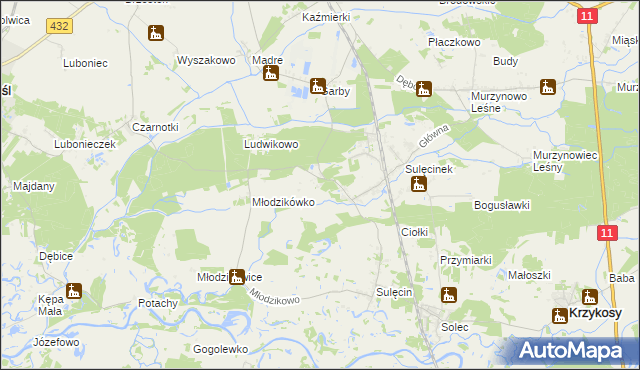mapa Borowo gmina Krzykosy, Borowo gmina Krzykosy na mapie Targeo