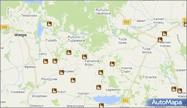 mapa Borowo gmina Tłuchowo, Borowo gmina Tłuchowo na mapie Targeo