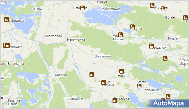 mapa Borzynowo gmina Milicz, Borzynowo gmina Milicz na mapie Targeo