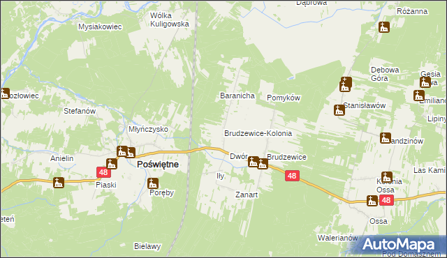 mapa Brudzewice-Kolonia, Brudzewice-Kolonia na mapie Targeo