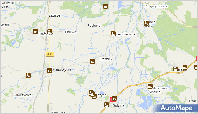 mapa Brzeziny gmina Skoroszyce, Brzeziny gmina Skoroszyce na mapie Targeo