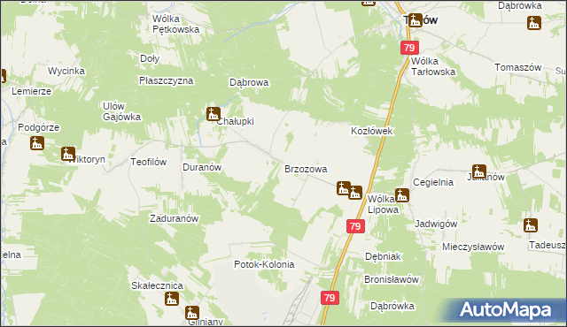 mapa Brzozowa gmina Tarłów, Brzozowa gmina Tarłów na mapie Targeo