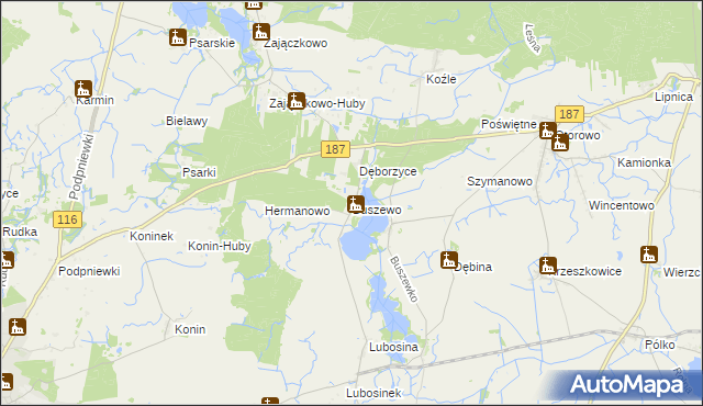 mapa Buszewo gmina Pniewy, Buszewo gmina Pniewy na mapie Targeo