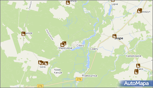 mapa Cibórz gmina Skąpe, Cibórz gmina Skąpe na mapie Targeo