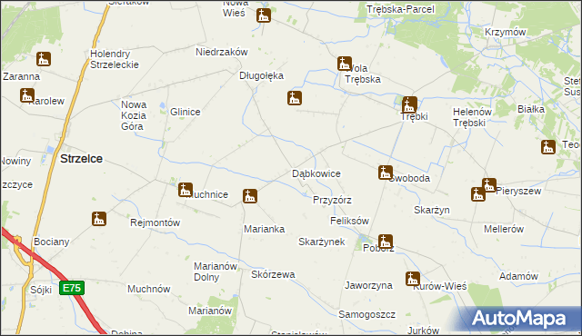 mapa Dąbkowice gmina Strzelce, Dąbkowice gmina Strzelce na mapie Targeo