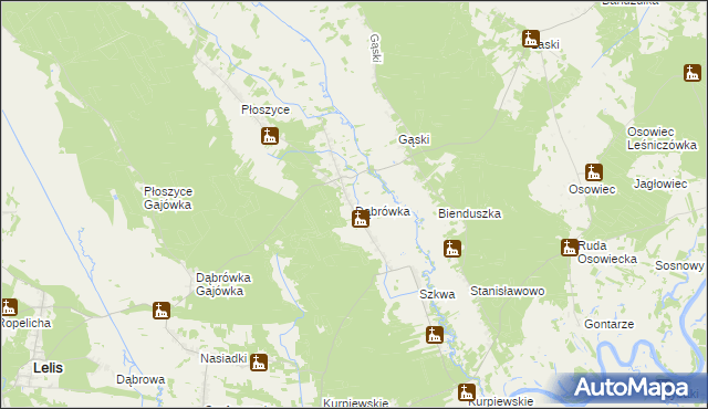 mapa Dąbrówka gmina Lelis, Dąbrówka gmina Lelis na mapie Targeo