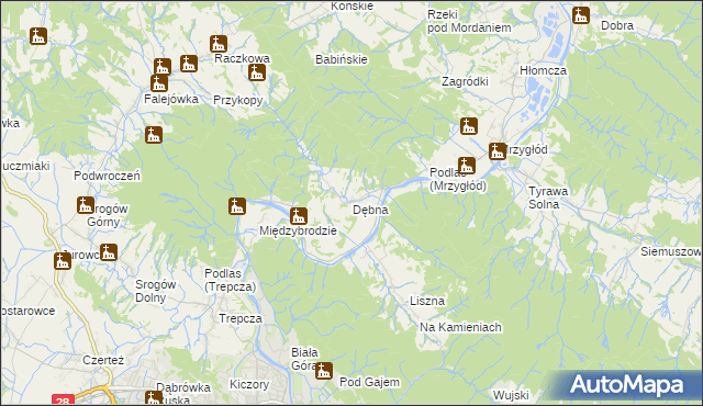 mapa Dębna gmina Sanok, Dębna gmina Sanok na mapie Targeo