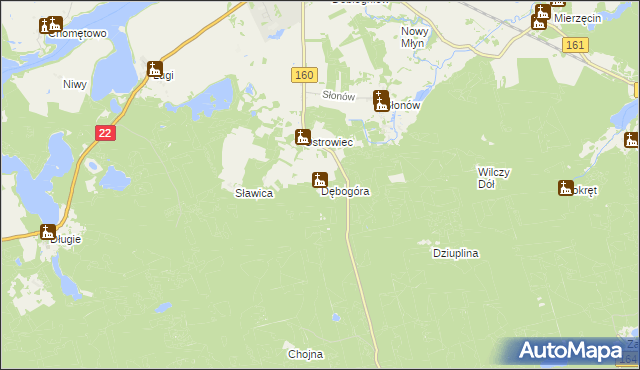 mapa Dębogóra gmina Dobiegniew, Dębogóra gmina Dobiegniew na mapie Targeo