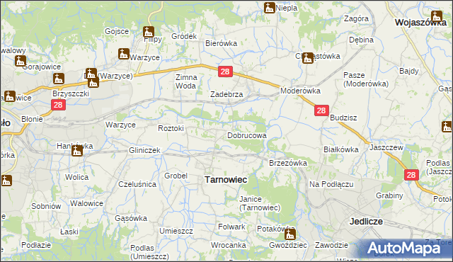 mapa Dobrucowa, Dobrucowa na mapie Targeo