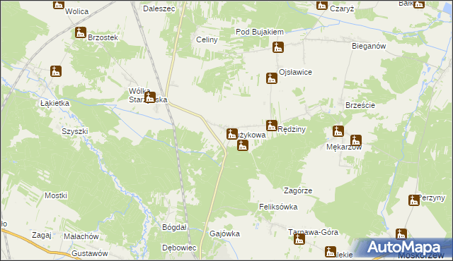 mapa Drużykowa, Drużykowa na mapie Targeo