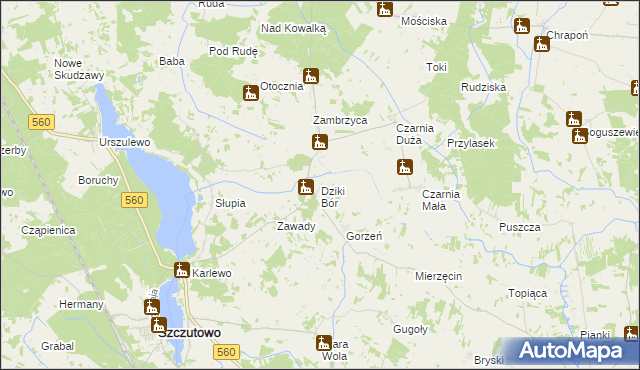mapa Dziki Bór, Dziki Bór na mapie Targeo