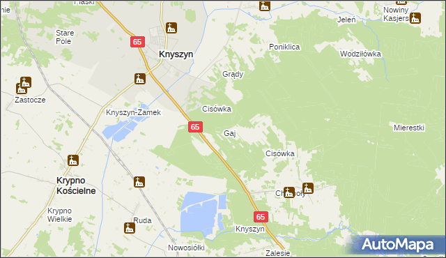 mapa Gaj gmina Dobrzyniewo Duże, Gaj gmina Dobrzyniewo Duże na mapie Targeo
