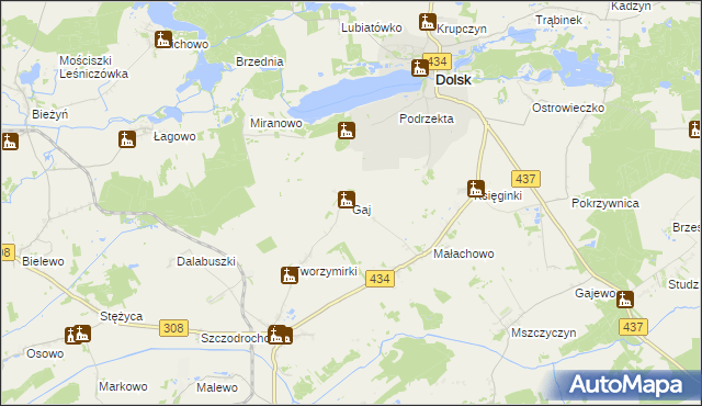 mapa Gaj gmina Gostyń, Gaj gmina Gostyń na mapie Targeo