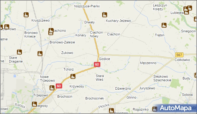 mapa Goślice, Goślice na mapie Targeo