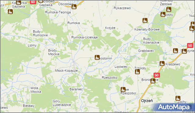 mapa Gostomin gmina Ojrzeń, Gostomin gmina Ojrzeń na mapie Targeo