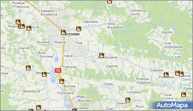 mapa Januszkowice gmina Brzostek, Januszkowice gmina Brzostek na mapie Targeo