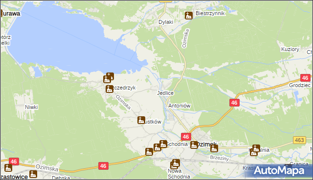 mapa Jedlice gmina Ozimek, Jedlice gmina Ozimek na mapie Targeo