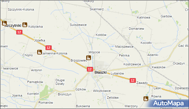 mapa Kokoszki gmina Błaszki, Kokoszki gmina Błaszki na mapie Targeo