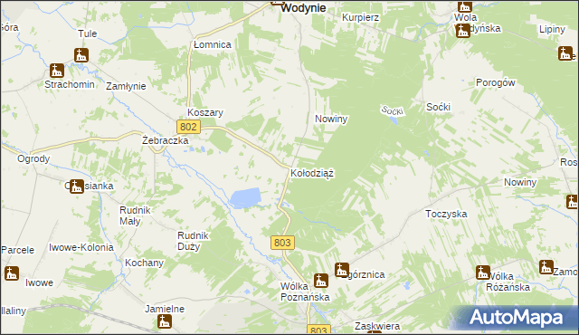 mapa Kołodziąż gmina Wodynie, Kołodziąż gmina Wodynie na mapie Targeo