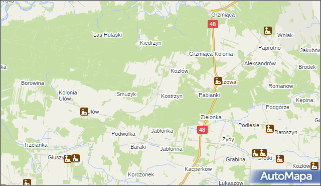 mapa Kostrzyn gmina Wyśmierzyce, Kostrzyn gmina Wyśmierzyce na mapie Targeo