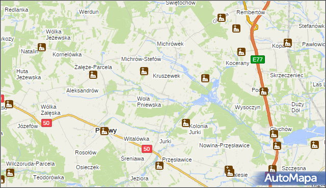 mapa Kruszew gmina Pniewy, Kruszew gmina Pniewy na mapie Targeo