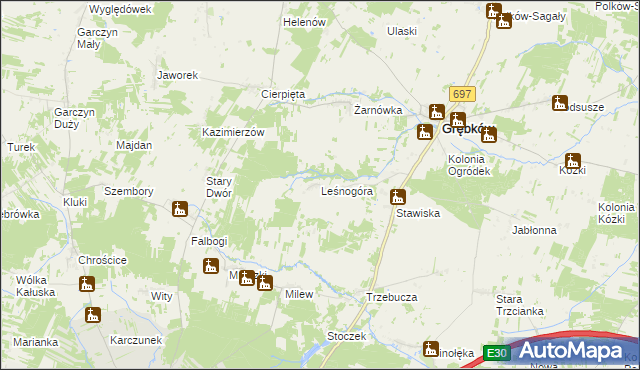mapa Leśnogóra, Leśnogóra na mapie Targeo