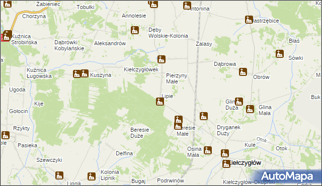 mapa Lipie gmina Kiełczygłów, Lipie gmina Kiełczygłów na mapie Targeo