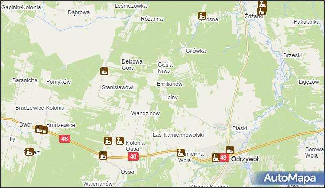 mapa Lipiny gmina Odrzywół, Lipiny gmina Odrzywół na mapie Targeo