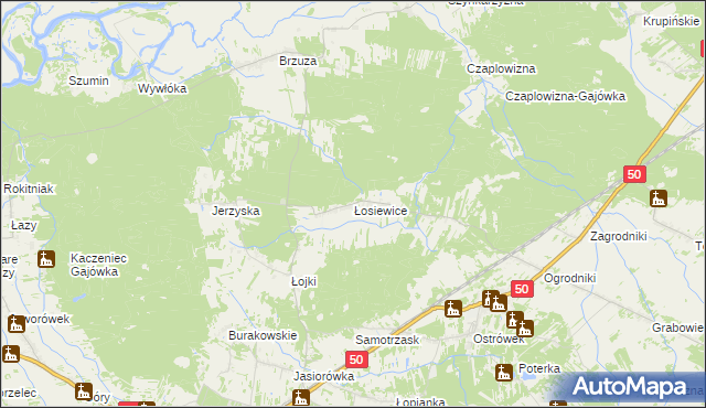 mapa Łosiewice, Łosiewice na mapie Targeo