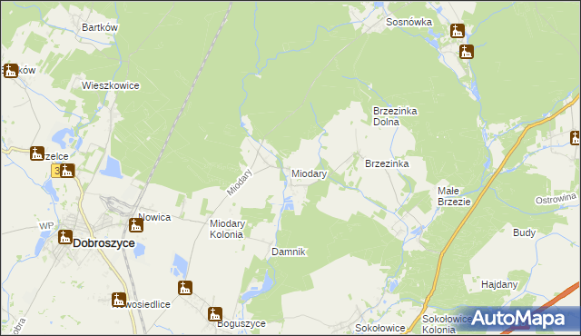 mapa Miodary gmina Dobroszyce, Miodary gmina Dobroszyce na mapie Targeo