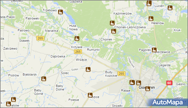 mapa Nagodów gmina Gostynin, Nagodów gmina Gostynin na mapie Targeo