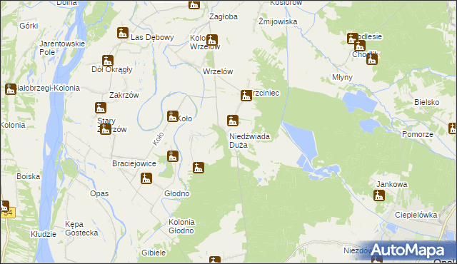 mapa Niedźwiada Duża, Niedźwiada Duża na mapie Targeo