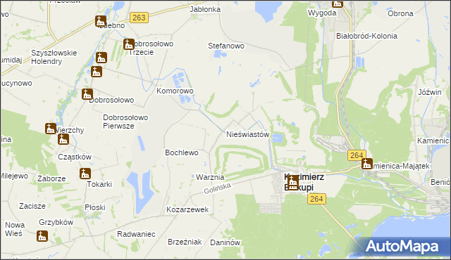 mapa Nieświastów, Nieświastów na mapie Targeo