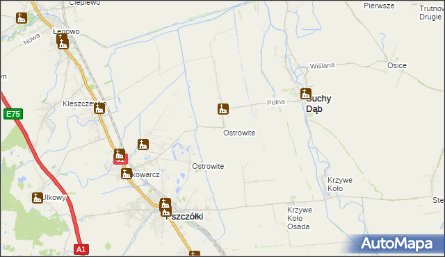 mapa Ostrowite gmina Suchy Dąb, Ostrowite gmina Suchy Dąb na mapie Targeo