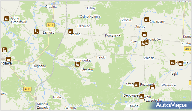 mapa Patoki gmina Widawa, Patoki gmina Widawa na mapie Targeo
