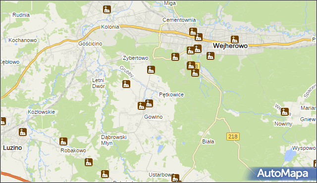 mapa Pętkowice gmina Wejherowo, Pętkowice gmina Wejherowo na mapie Targeo