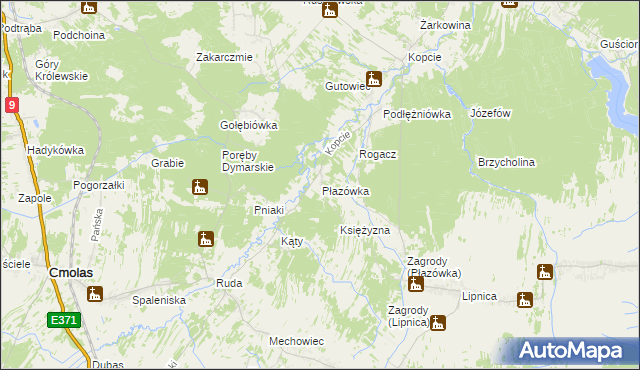 mapa Płazówka gmina Dzikowiec, Płazówka gmina Dzikowiec na mapie Targeo