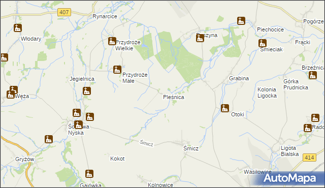 mapa Pleśnica, Pleśnica na mapie Targeo