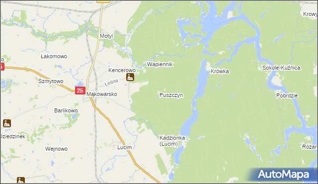 mapa Puszczyn gmina Koronowo, Puszczyn gmina Koronowo na mapie Targeo