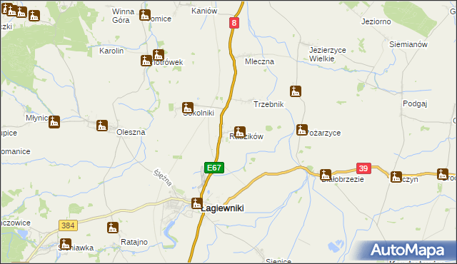 mapa Radzików gmina Łagiewniki, Radzików gmina Łagiewniki na mapie Targeo