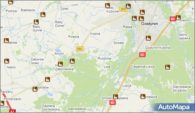 mapa Ruszków gmina Gostynin, Ruszków gmina Gostynin na mapie Targeo
