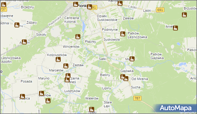 mapa Sałki gmina Pionki, Sałki gmina Pionki na mapie Targeo