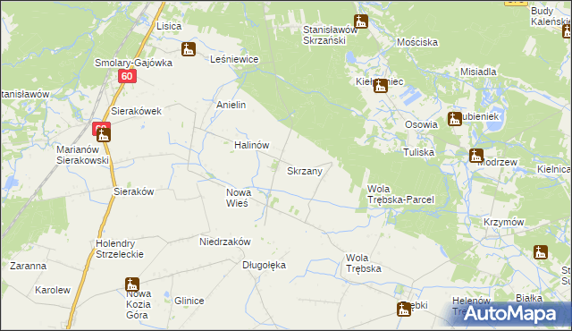 mapa Skrzany gmina Gostynin, Skrzany gmina Gostynin na mapie Targeo