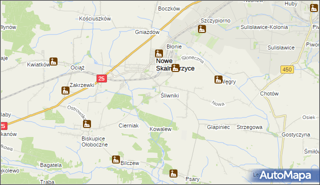 mapa Śliwniki gmina Nowe Skalmierzyce, Śliwniki gmina Nowe Skalmierzyce na mapie Targeo
