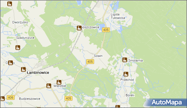 mapa Sowin gmina Łambinowice, Sowin gmina Łambinowice na mapie Targeo
