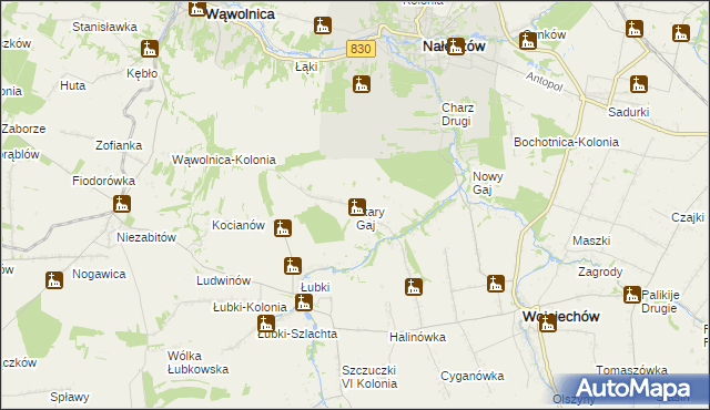 mapa Stary Gaj gmina Wojciechów, Stary Gaj gmina Wojciechów na mapie Targeo