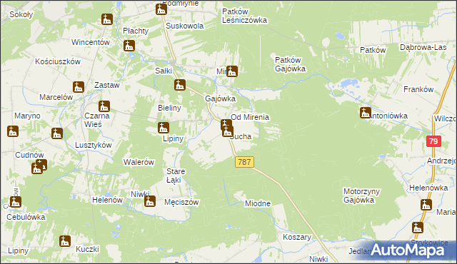 mapa Sucha gmina Pionki, Sucha gmina Pionki na mapie Targeo