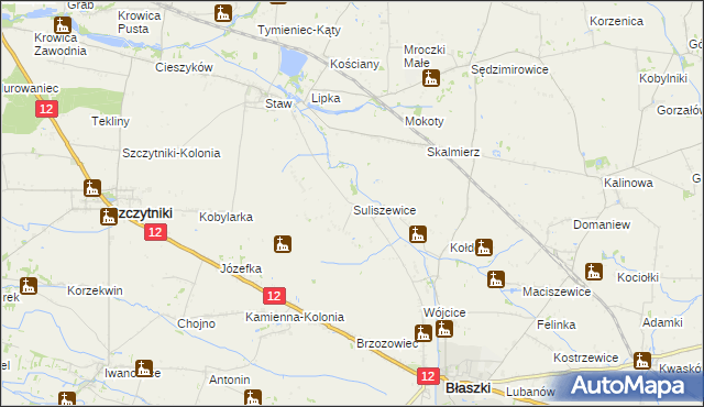 mapa Suliszewice gmina Błaszki, Suliszewice gmina Błaszki na mapie Targeo