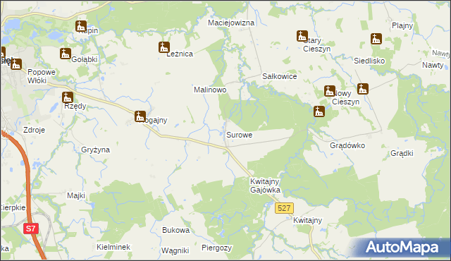 mapa Surowe gmina Pasłęk, Surowe gmina Pasłęk na mapie Targeo